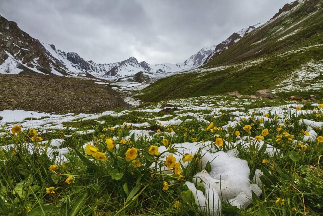 Алтын-Арашан, Путь На Оз,Ала-Куль Teploklyuchenka Buitenkant foto
